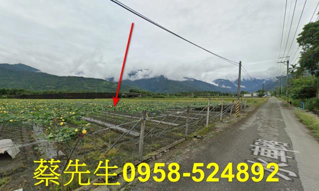 花蓮農地法拍-12