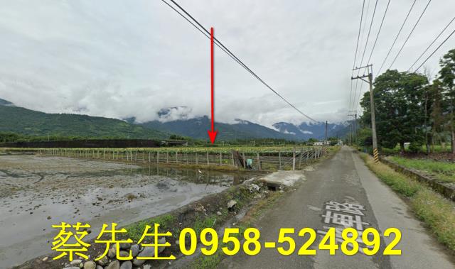 花蓮農地法拍-13