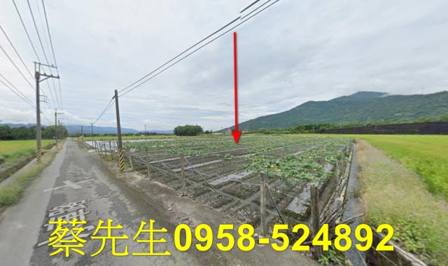 花蓮農地法拍-14