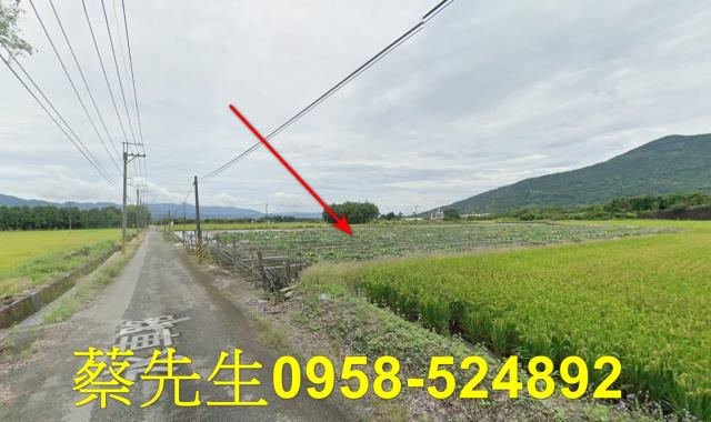 花蓮農地法拍-15