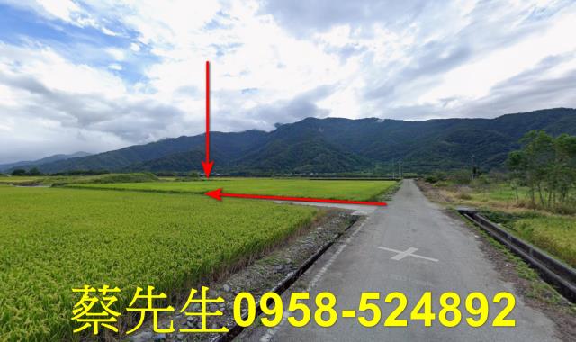 花蓮富里法拍農地-5