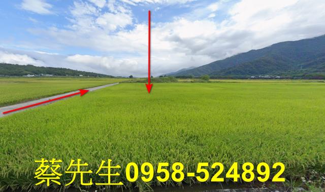 花蓮富里法拍農地-6