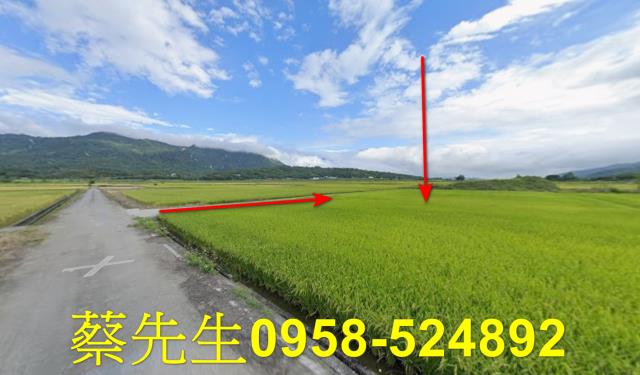 花蓮富里法拍農地-7