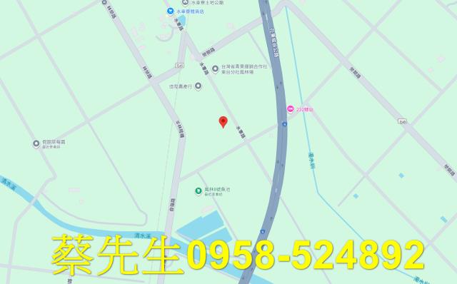 花蓮富里法拍農地-8