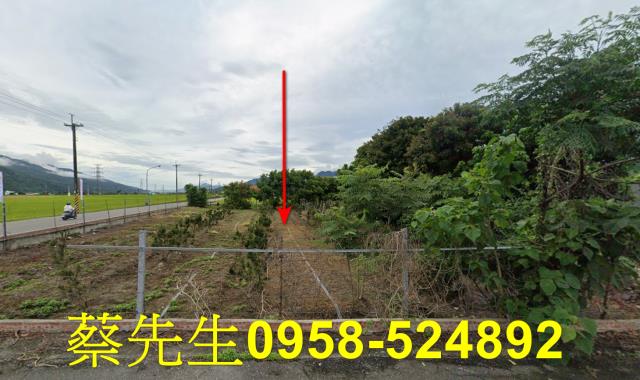 花蓮富里農地拍賣-12