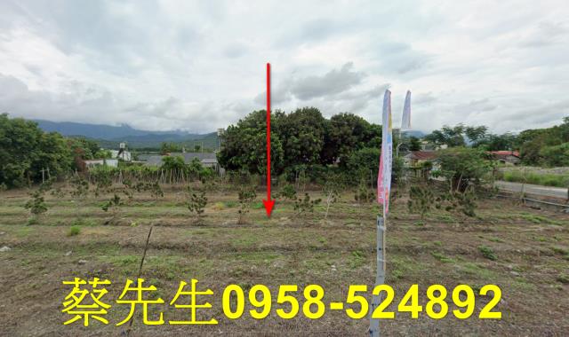 花蓮富里農地拍賣-13