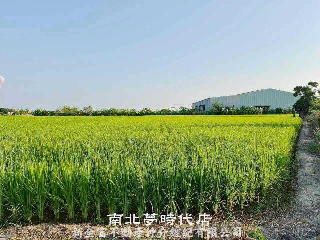 台南柳營農地-2