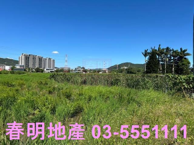 新埔農地-11