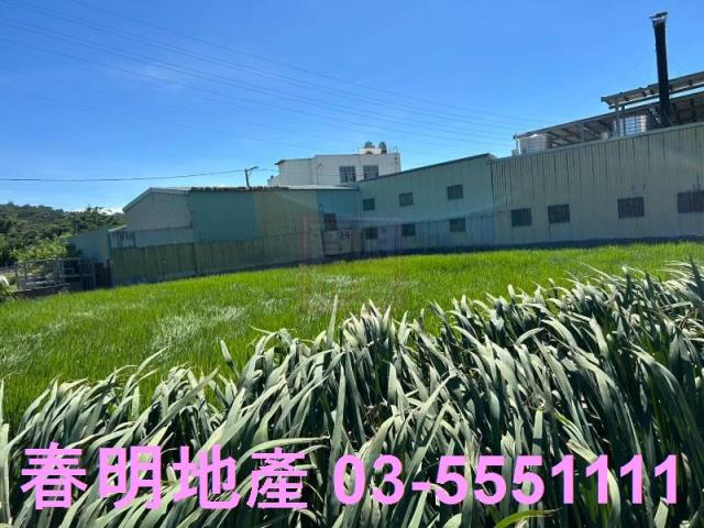 新埔農地-4