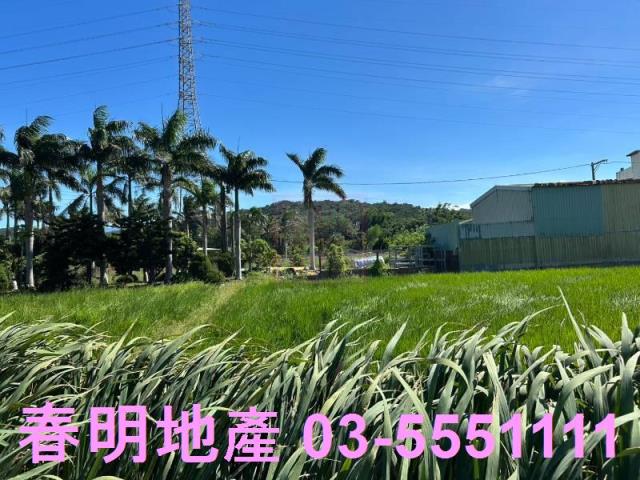 新埔農地-5