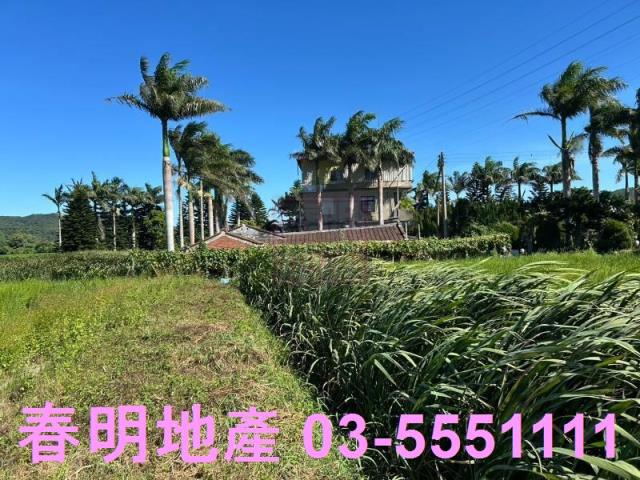 新埔農地-6