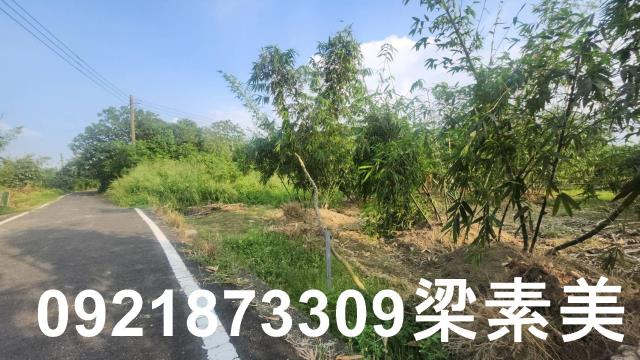 歸仁農地-2