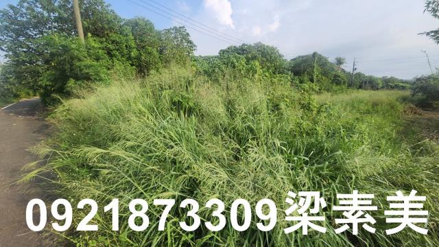 歸仁農地-3
