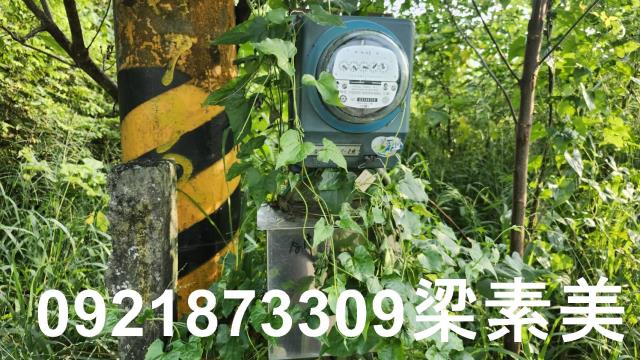歸仁農地-4