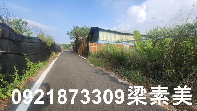 歸仁農地-6
