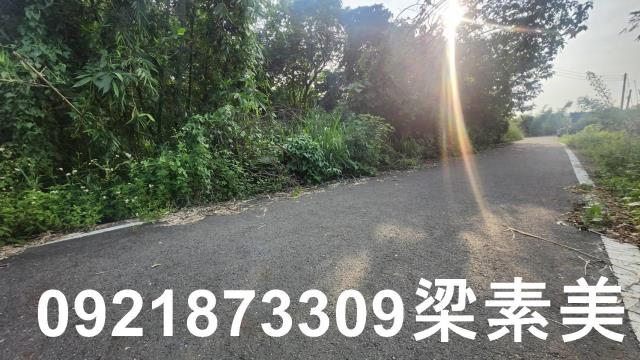 歸仁農地-7