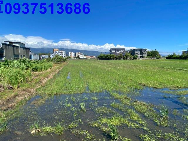 宜蘭市農地-4