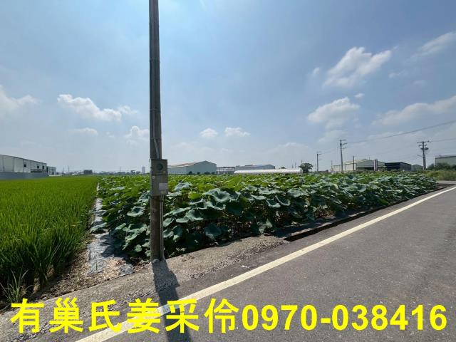 民雄農地-9