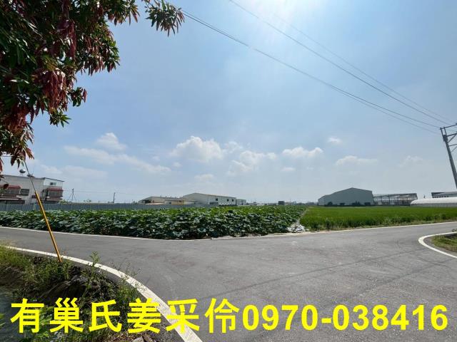 民雄農地-6