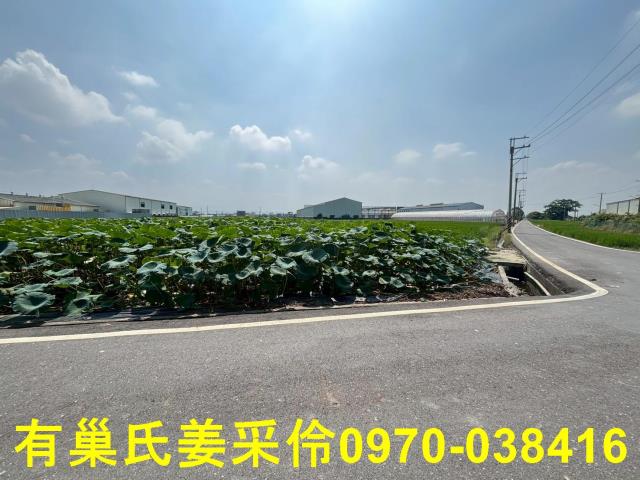 民雄農地-8