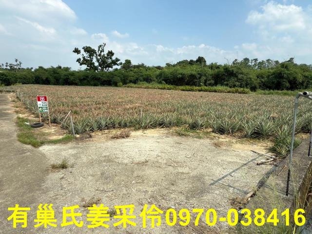 民雄農地-2