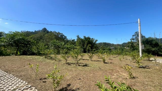 大溪農地_休閒地-7