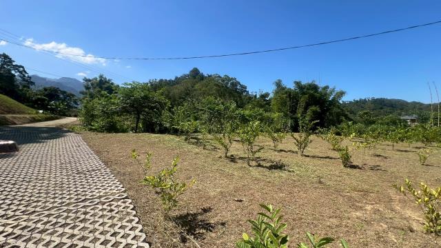 大溪農地_休閒地-8