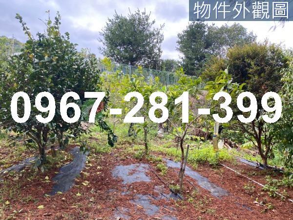 頭份農地_山坡地_休閒地-6