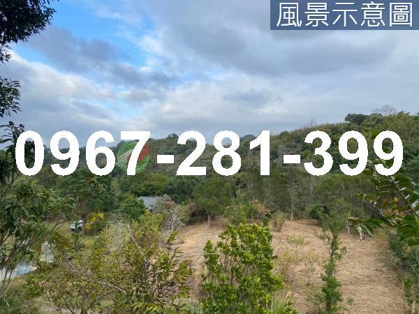 頭份農地_山坡地_休閒地-7