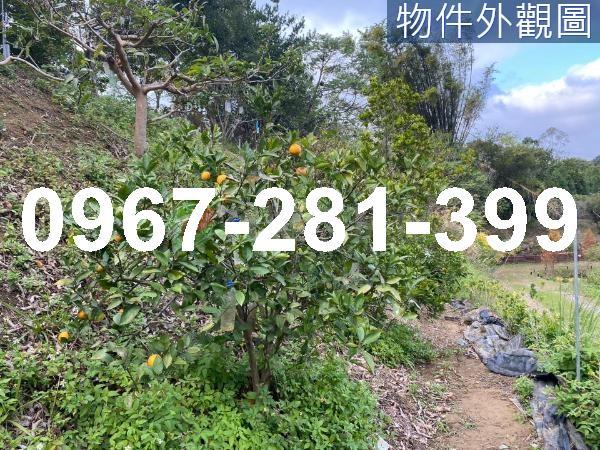 頭份農地_山坡地_休閒地-8