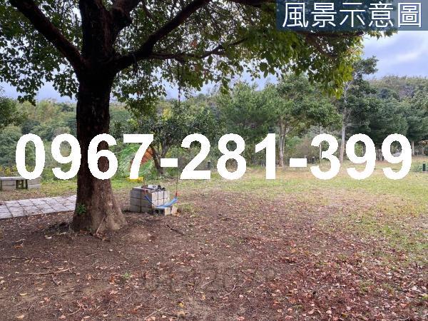 頭份農地_山坡地_休閒地-9