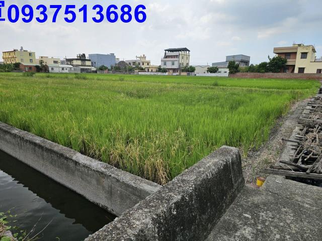 花壇農地-3