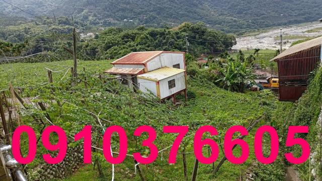 台中農地_休閒地_住宅地-5