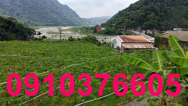 台中農地_休閒地_住宅地-2