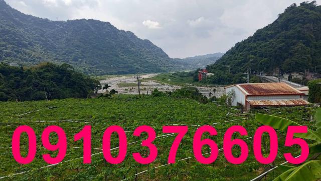台中農地_休閒地_住宅地-3