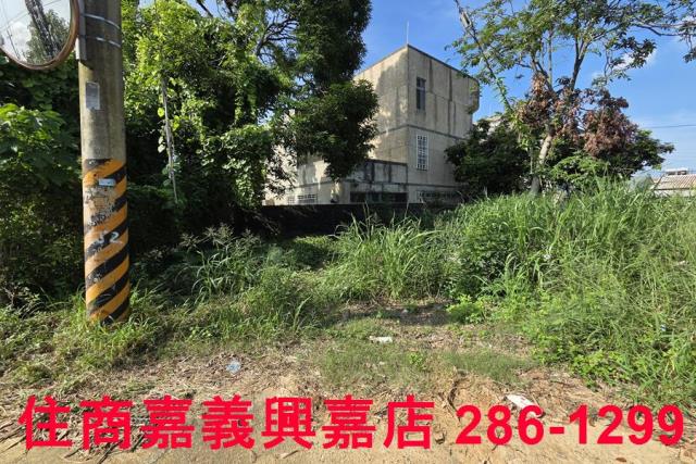 嘉義建地-3