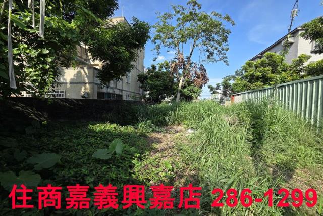 嘉義建地-5