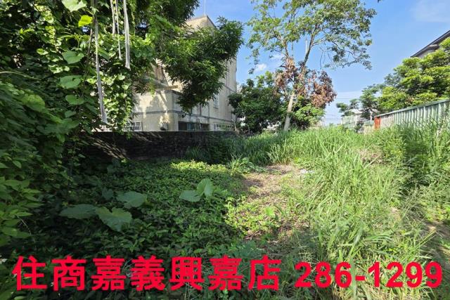 嘉義建地-6