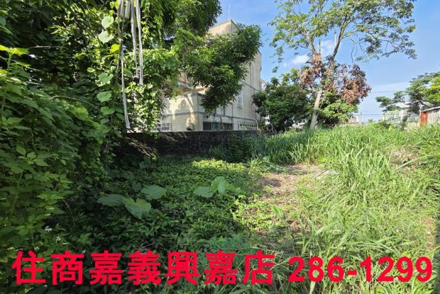 嘉義建地-7