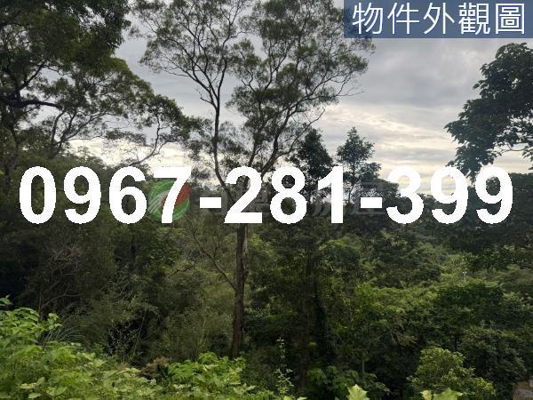 苗栗造橋農地_山坡地_休閒地-2