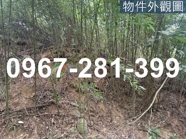 苗栗造橋農地_山坡地_休閒地-3