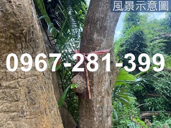 苗栗造橋農地_山坡地_休閒地-4