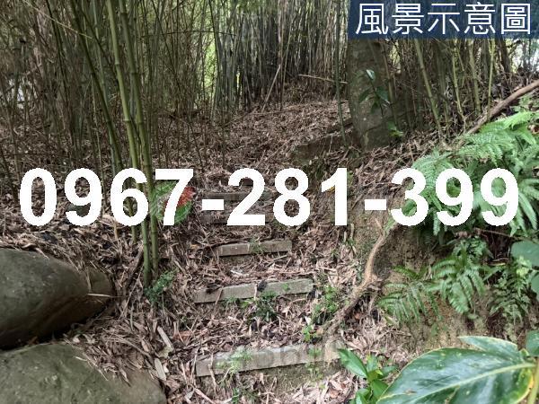 苗栗造橋農地_山坡地_休閒地-5