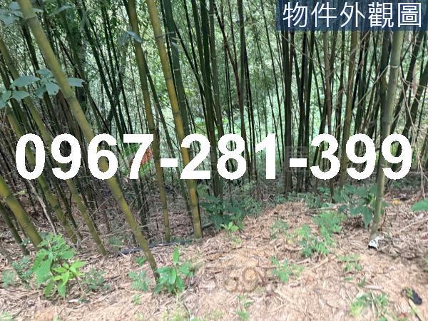 苗栗造橋農地_山坡地_休閒地-6
