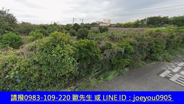 彰化花壇農地法拍-11