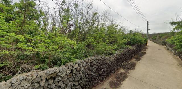 澎湖白沙農地法拍-5