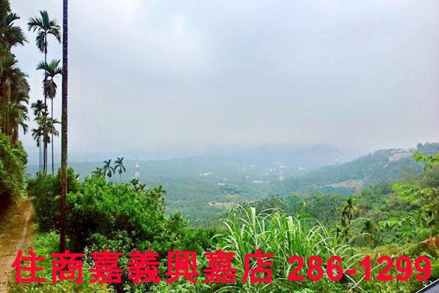 番路農地_林地-10