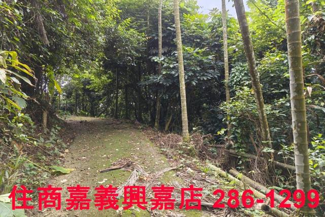 番路農地_林地-1
