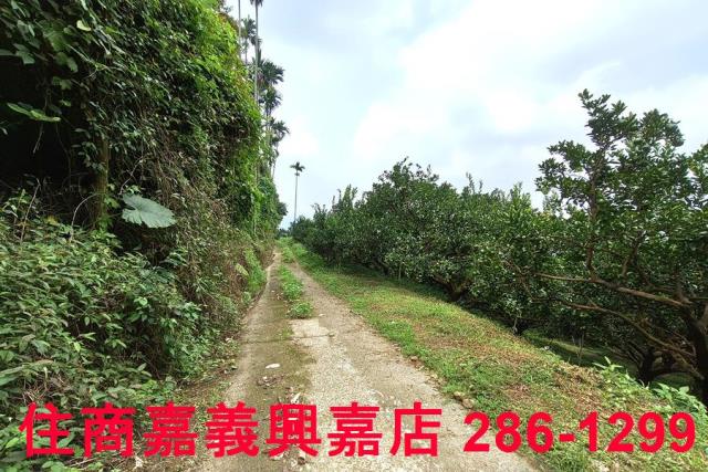 番路農地_林地-2