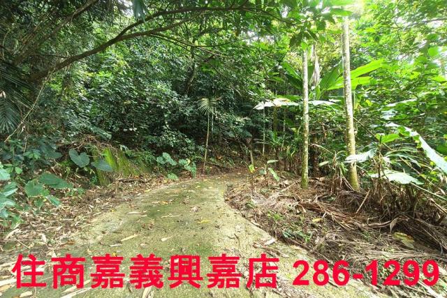 番路農地_林地-3
